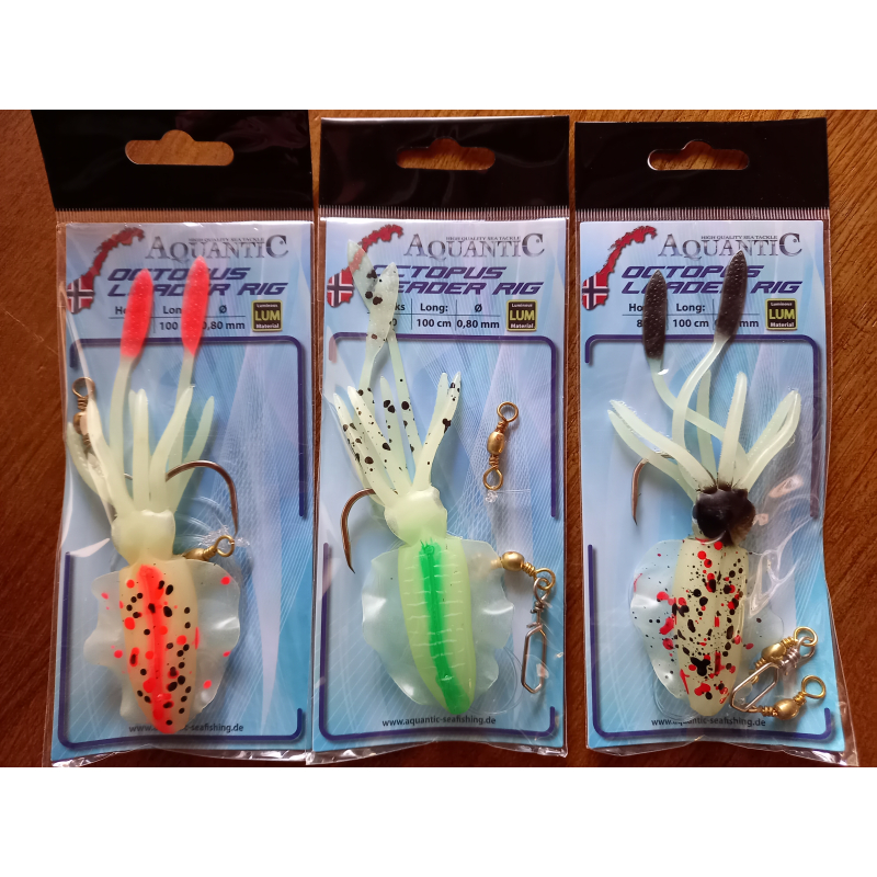 Octopus Leader Rig (Noorwegen)